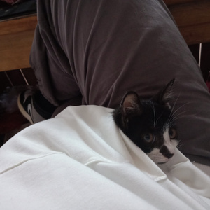 亚洲欧美变态另类综合
