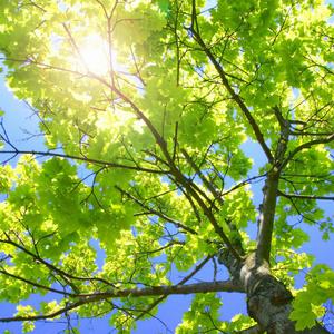 亚洲欧美变态另类综合
