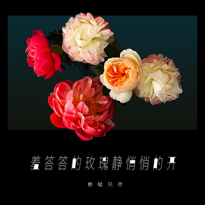 亚洲欧美变态另类综合
